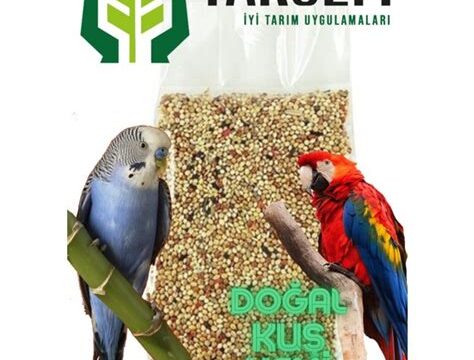Organik Kuş Yemi Seçenekleri